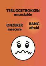 Schermafbeelding 2021-05-06 om 18.14.41